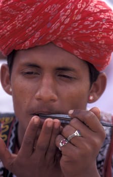 musicians in traditional Rajasthani dress at the Bikaner Camel Festival in the Town of Bikaner in the Province of Rajasthan in India.  India, Bikaner, January, 1998