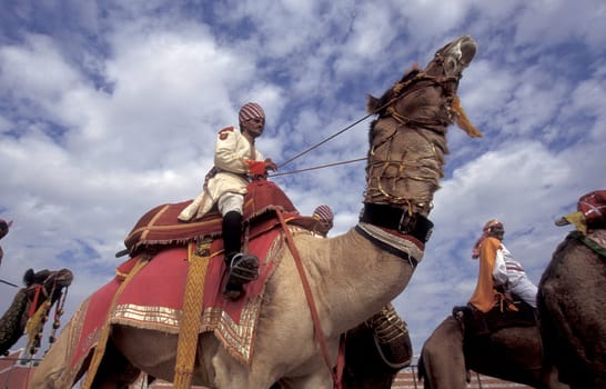 a camel herder in traditional Rajasthani dress at the Bikaner Camel Festival in the Town of Bikaner in the Province of Rajasthan in India.  India, Bikaner, January, 1998