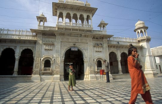Inside of the Karni Mata Rat Temple in the Town of Deshnoke in the Province of Rajasthan in India.  India, Bikaner, January, 1998