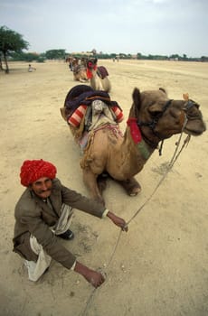 a camel herder at the Bikaner Camel Festival in the Town of Bikaner in the Province of Rajasthan in India.  India, Bikaner, January, 1998
