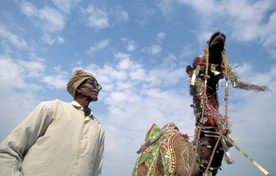 a camel herder at the Bikaner Camel Festival in the Town of Bikaner in the Province of Rajasthan in India.  India, Bikaner, January, 1998