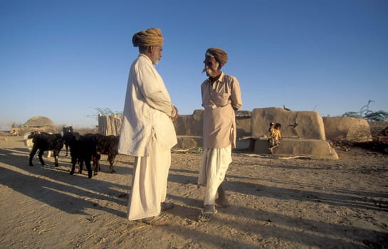 Old Rajasthani Men in a small Village near the Town of Bikaner in the Province of Rajasthan in India.  India, Bikaner, January, 1998