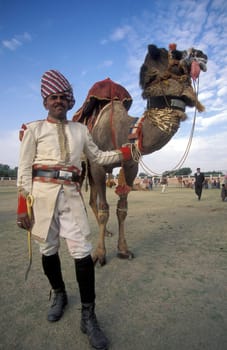 a camel herder in traditional Rajasthani dress at the Bikaner Camel Festival in the Town of Bikaner in the Province of Rajasthan in India.  India, Bikaner, January, 1998