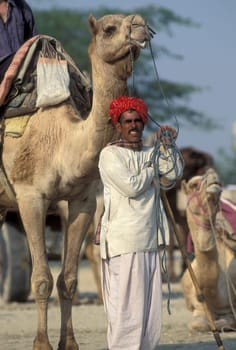 a camel herder at the Bikaner Camel Festival in the Town of Bikaner in the Province of Rajasthan in India.  India, Bikaner, January, 1998