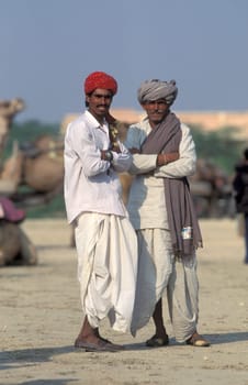 a camel herder at the Bikaner Camel Festival in the Town of Bikaner in the Province of Rajasthan in India.  India, Bikaner, January, 1998