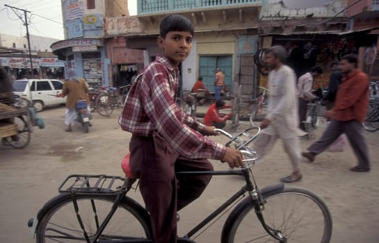 a Bicycle traffic on a road in the City of Jaipur in the Province of Rajasthan in India.  India, Jaipur, January, 1998