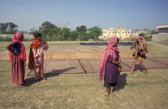 Working People in a textile coloring and dryeing Factory in the City of Jaipur in the Province of Rajasthan in India.  India, Jaipur, January, 1998