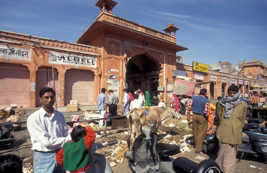 a food market street in the City of Jaipur in the Province of Rajasthan in India.  India, Jaipur, January, 1998