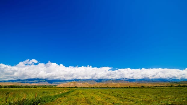 Green agricultural field with mountain range under a white clouds and blue sky above.