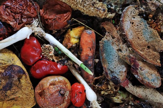 Discarded and spoiled food in a garbage heap
