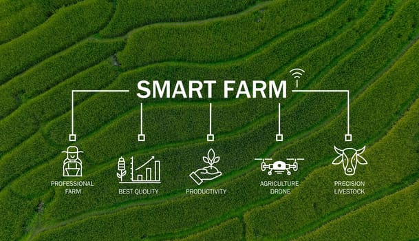 Smart farm technology meets agricultural expertise. Precision livestock management and agriculture drones enhance productivity. Modern farming practices. Innovation in sustainable agriculture.