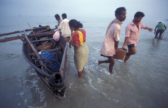Fishing people sort out the fresh Fish and sale it at a Beach of a Fishing Village on the Coast at the Town of Colva in the Province of Goa in India,  India, Goa, April, 1996