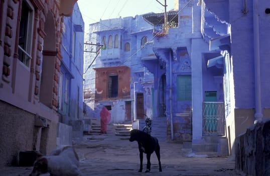a blue painted living House in the Blue City and Town of Jodhpur in the Province of Rajasthan in India.  India, Jodhpur, January, 1998