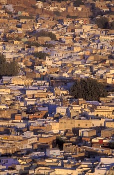a view with living Houses in the Blue City and Town of Jodhpur in the Province of Rajasthan in India.  India, Jodhpur, January, 1998