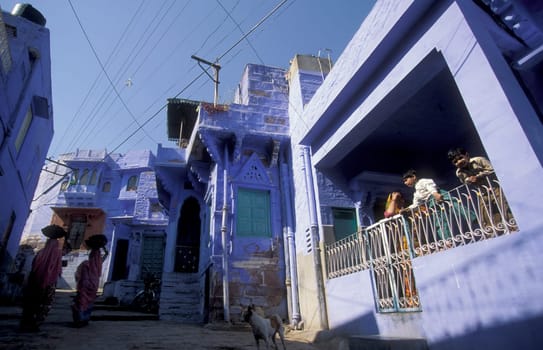 a blue painted living House in the Blue City and Town of Jodhpur in the Province of Rajasthan in India.  India, Jodhpur, January, 1998