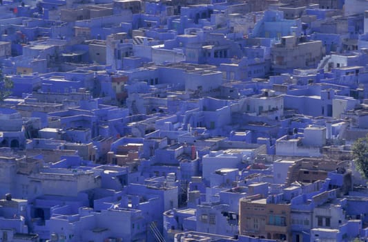 a view with living Houses in the Blue City and Town of Jodhpur in the Province of Rajasthan in India.  India, Jodhpur, January, 1998
