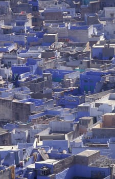 a view with living Houses in the Blue City and Town of Jodhpur in the Province of Rajasthan in India.  India, Jodhpur, January, 1998