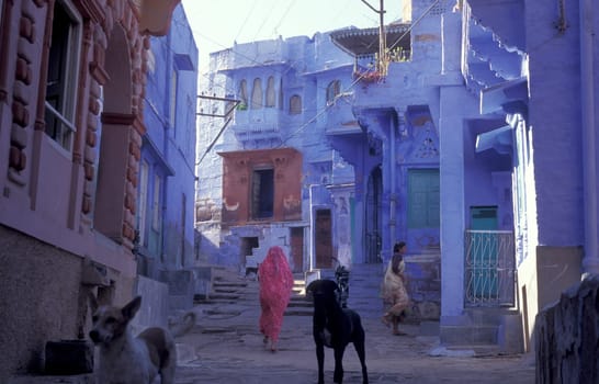 a blue painted living House in the Blue City and Town of Jodhpur in the Province of Rajasthan in India.  India, Jodhpur, January, 1998