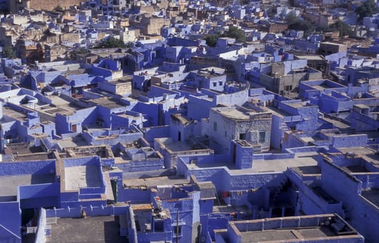 a view with living Houses in the Blue City and Town of Jodhpur in the Province of Rajasthan in India.  India, Jodhpur, January, 1998