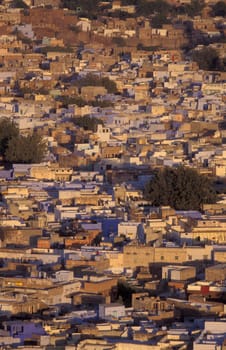 a view with living Houses in the Blue City and Town of Jodhpur in the Province of Rajasthan in India.  India, Jodhpur, January, 1998