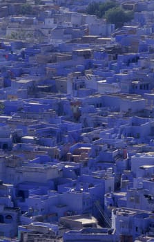 a view with living Houses in the Blue City and Town of Jodhpur in the Province of Rajasthan in India.  India, Jodhpur, January, 1998