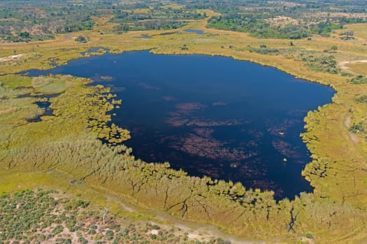 Aerial View of a Wetland in the Okavango Delta in Botswana