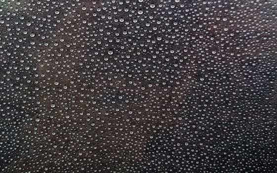 Rain water droplets. Water droplets and wallpaper concept.