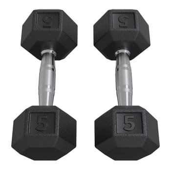 Two Hex Dumbbell with number 5, weightlifting gym equipment, isolated on white background. 3D illustration