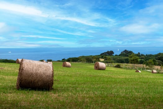 A field of hay bales sits in front of a blue ocean. The hay bales are scattered across the field, with some closer to the ocean and others further inland. Concept of tranquility and peacefulness