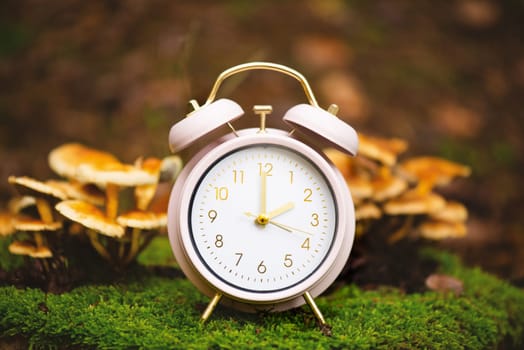 End of daylight saving time in fall, winter time changeover, alarm clock with autumn foliage and mushrooms