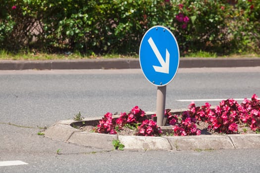 Traffic island on road with arrow signpost and flower bed, Germany