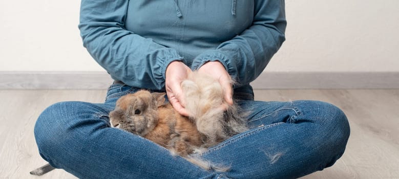 Domestic rabbit pathological hair loss, comb fur of pet animal, coat change, parasites, worms, infections with bacteria, viruses or fungi, allergies, hormonal imbalance, loneliness or stress