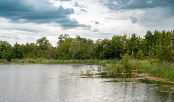 Biodiversity Haff Reimech, wetland and nature reserve in Luxembourg, pond surrounded by reed and trees, bird watching observation point