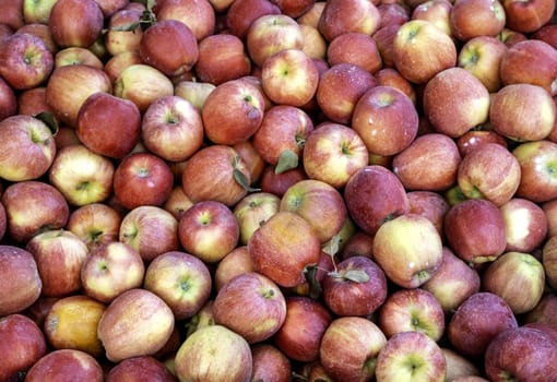 Detail of fresh fruit in an old market, vegan food
