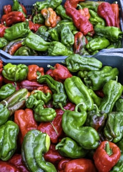 Detail of fresh vegetables in a traditional, vegan market