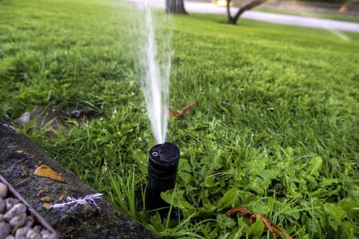 Detail of tools for watering the field, water
