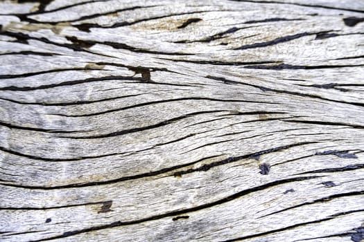 Detail of textured wooden background, decoration