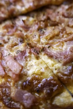 Detail of typical Italian food, lunch and celebration