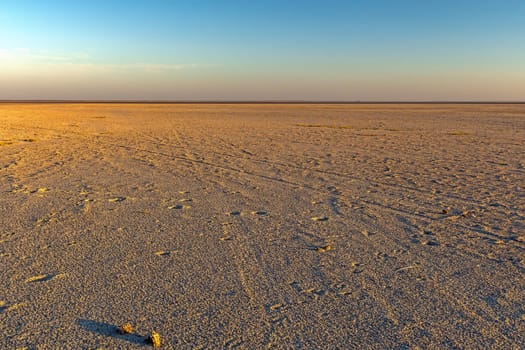 Expansive View of Salt Pans in the Evening at the Makgadikgadi Salt Pans in Botswana