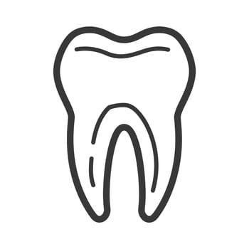 Line drawing illustration of a single tooth