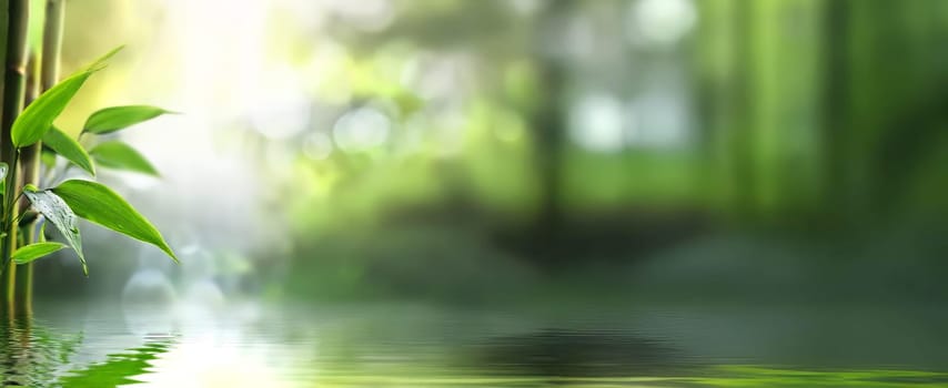 Tranquil scene by the water for wellness and relaxation with copy space.