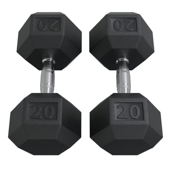 Two Hex Dumbbells with number 20, weightlifting gym equipment top view, isolated on white background. 3D illustration
