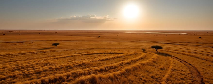 A breathtaking view captures golden fields stretching towards the horizon, bathed in the warm glow of the setting sun, with scattered trees dotting the landscape.