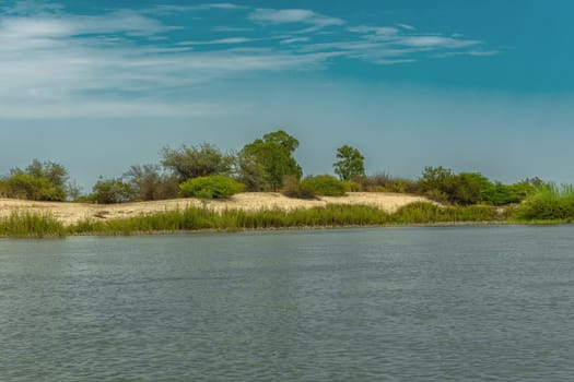 Sand dune landscape on the banks of the Zambezi River, Botswana