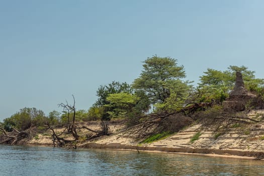 Sand dune landscape on the banks of the Zambezi River, Botswana