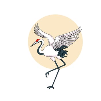 Red Crowned Crane Bird Standing with Spread Wings isolate on white background