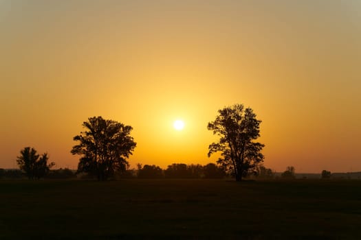 Landscape on the banks of the River Elbe near Magdeburg in Germany with trees and a bright sunrise in the early morning