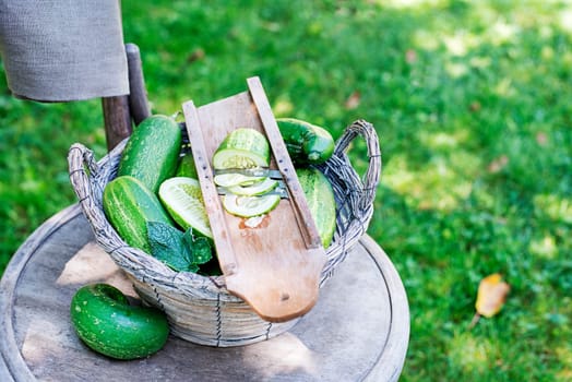 Cucumber harvest. Preparation of fresh cucumber salad close up outside in the garden.