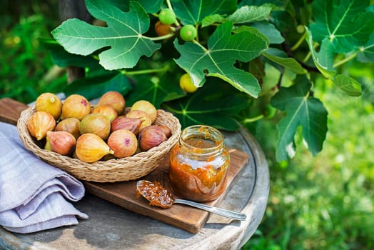 Glass jar with tasty sweet jam with fresh figs growing on the branch fig tree in organic home orchard.