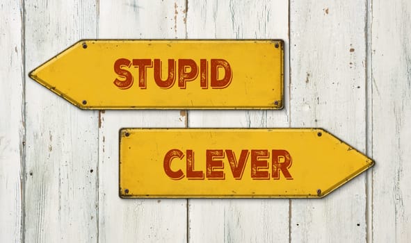 Direction signs on a wooden wall - Stupid or clever